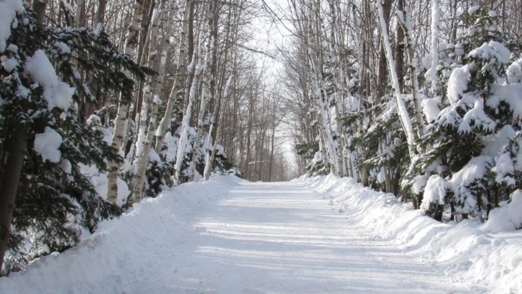 75 Hard – Day&nbsp;3